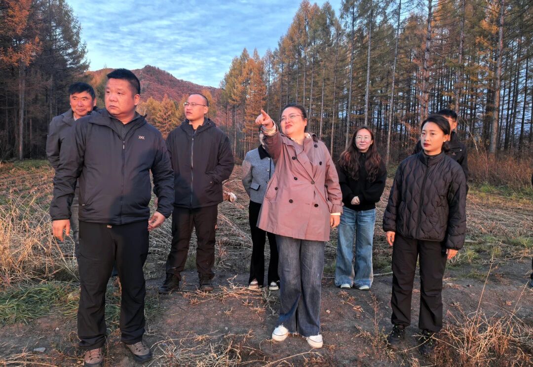 微信图片_2026-10-13_144001_449.jpg 微信图片_2026-10-13_144001_449.jpg