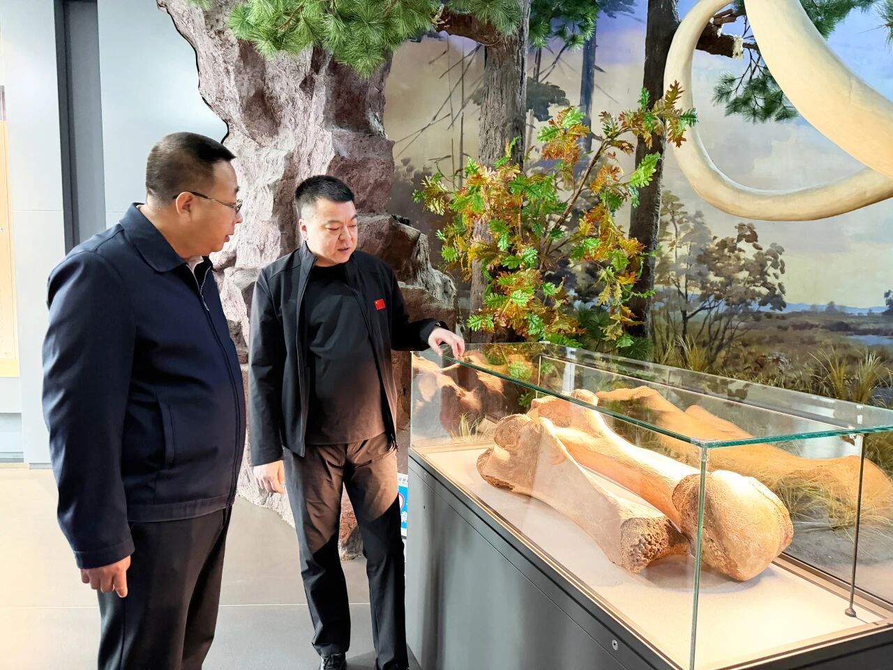 微信图片_2026-10-10_111047_696.jpg