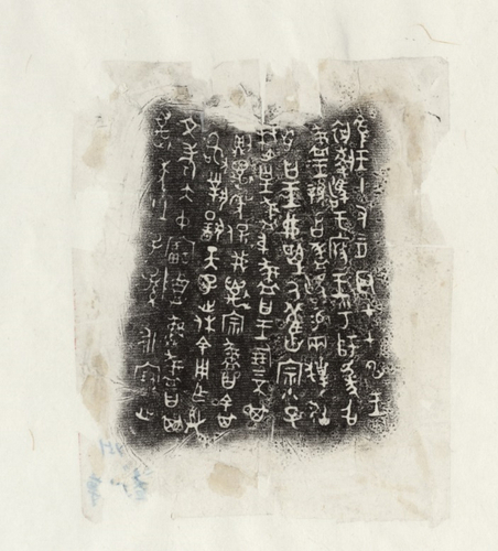 3021249_500x500.jpg 3021249_500x500.jpg