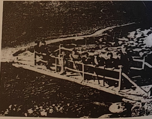 3023066_500x500.jpg 3023066_500x500.jpg