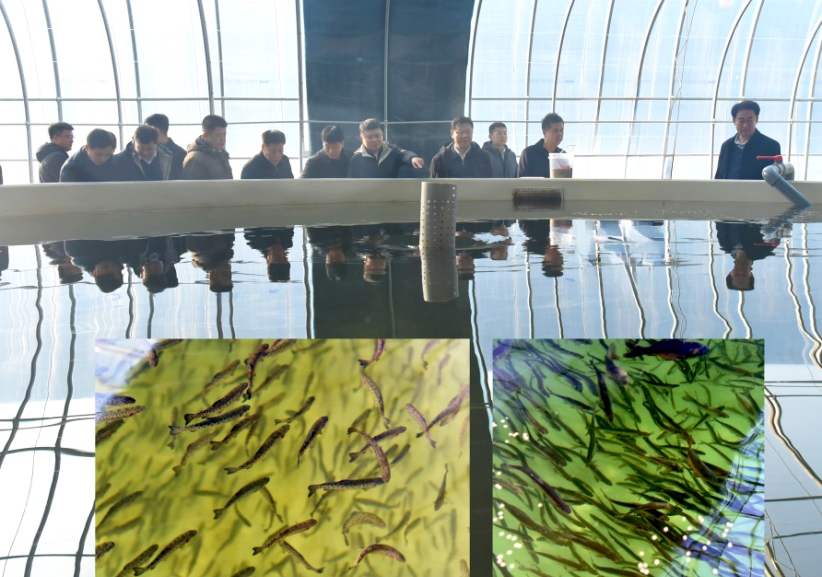 微信图片_2026-03-04_110306_703.png 微信图片_2026-03-04_110306_703.png